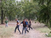 pohid mh el 2015 05