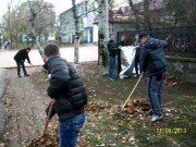 subotnik-02