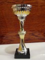 tenis cup