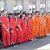 Відділення техніки та енергетики аграрного виробництва